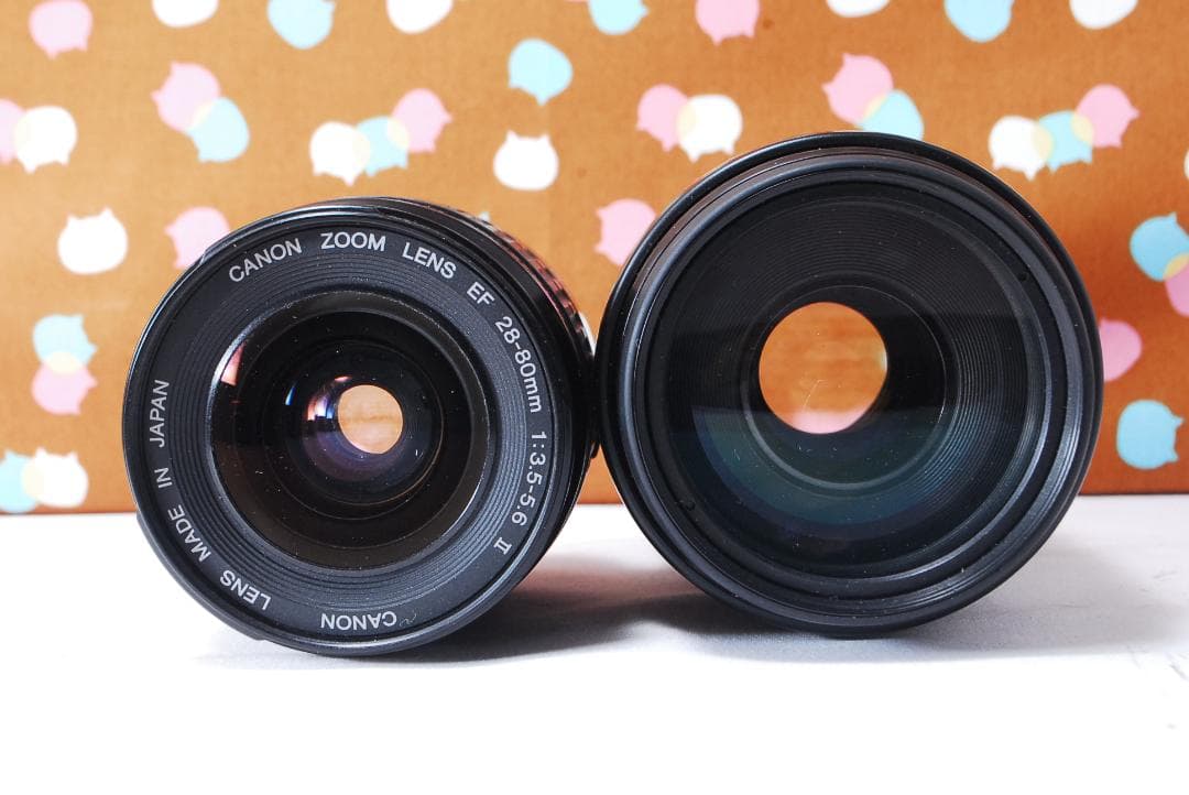 ✨美品✨ショット数1993回✨Canon Kiss X3 ダブルレンズセット