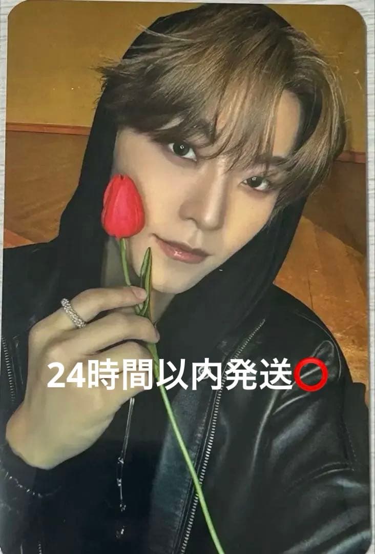 ald1 シンロン サノク トレカ