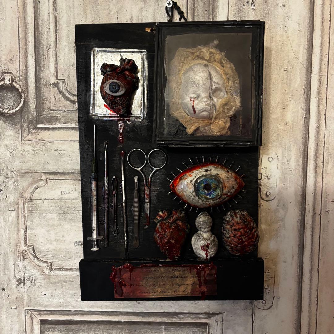 【Special Price】 赤子解剖オブジェ