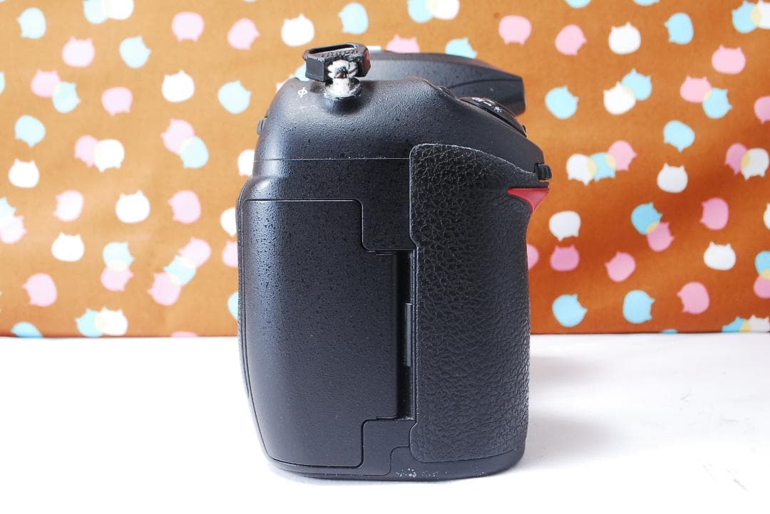 ✨ショット数7755回✨元箱付き✨Nikon D200 レンズセット