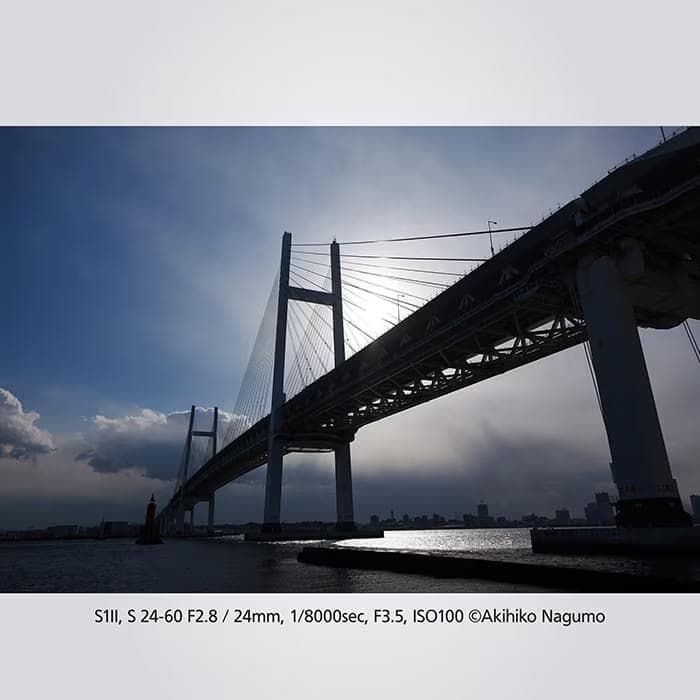 Panasonic LUMIX S1II ボディ DC-S1M2