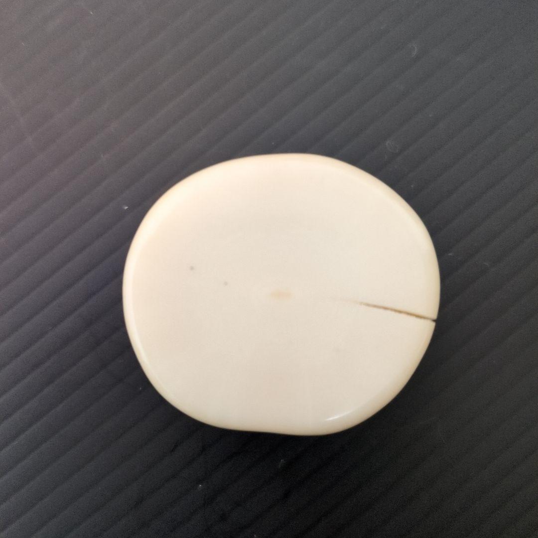 ウニコール　牙　角　輪切り　イッカク鯨歯