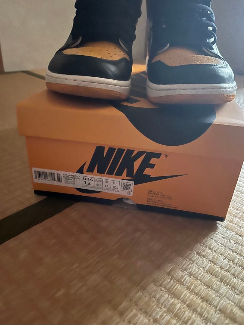 T.19　Nike Air jordan 1 Hi OG Retro