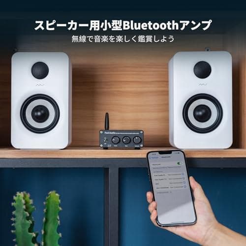 AFosi Audio BT20A Bluetooth 5.0 パワーアンプ 2