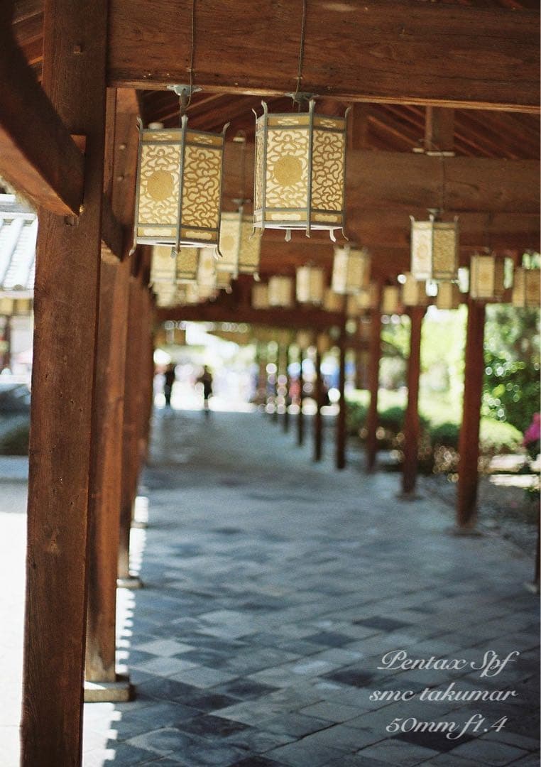 完動品＊美品＊pentax spf&名玉smc f1.4★作例多数★初期保証付き