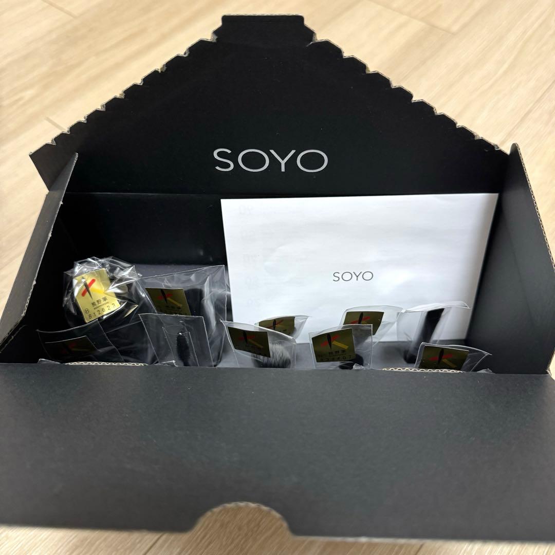 SOYO ディスカバー セット　（10本＋ケース付）