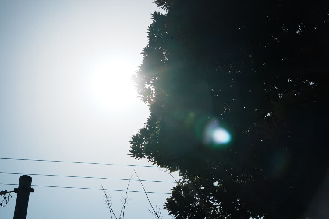 【運動会・卒業式にも】SONY 望遠ズームレンズ SEL55210 144