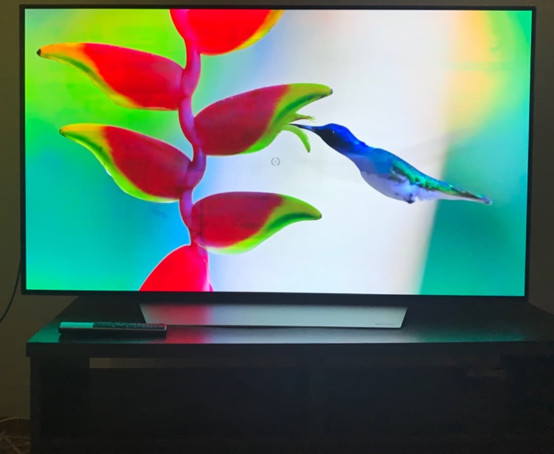 テレビ LG OLED 55v C7with Burn in pickup only