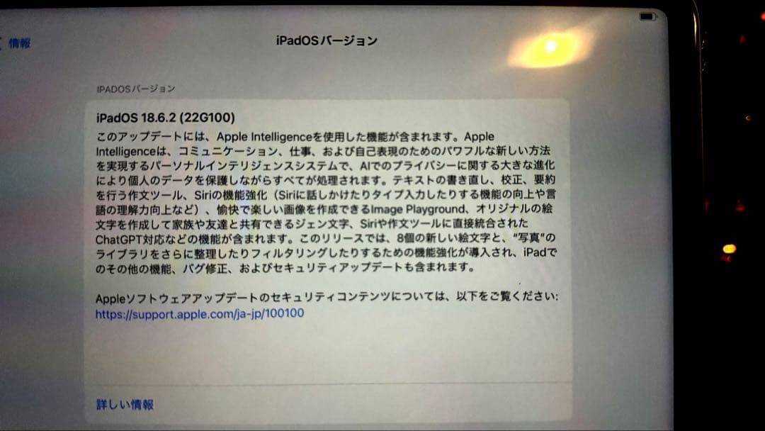 iPad Pro第5世代12.9インチ 1TB 美品