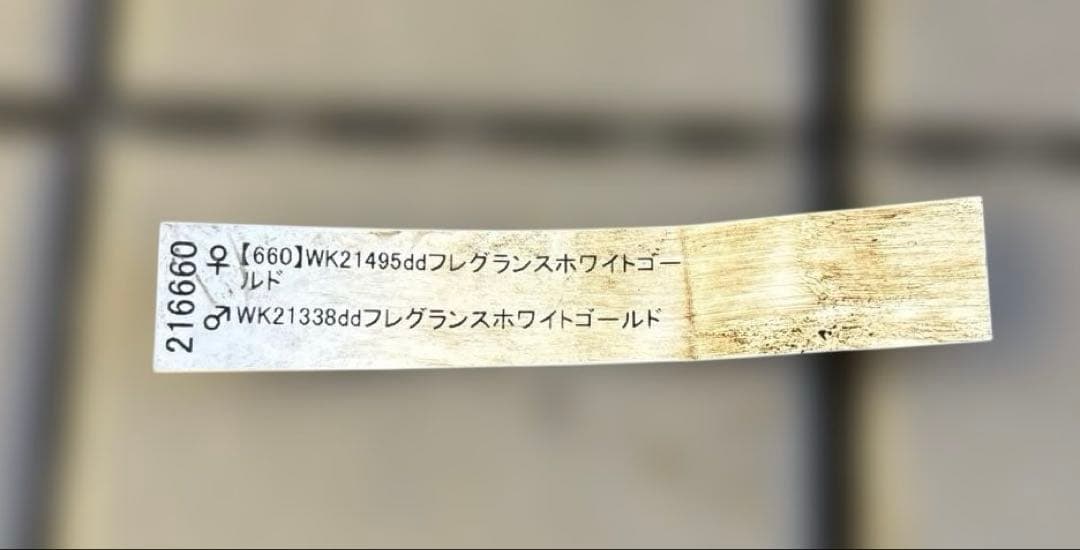 バ*カ様 加藤農園　認定かぐや姫　芳香性ホワイトゴールド開花株　匿名発送　現品