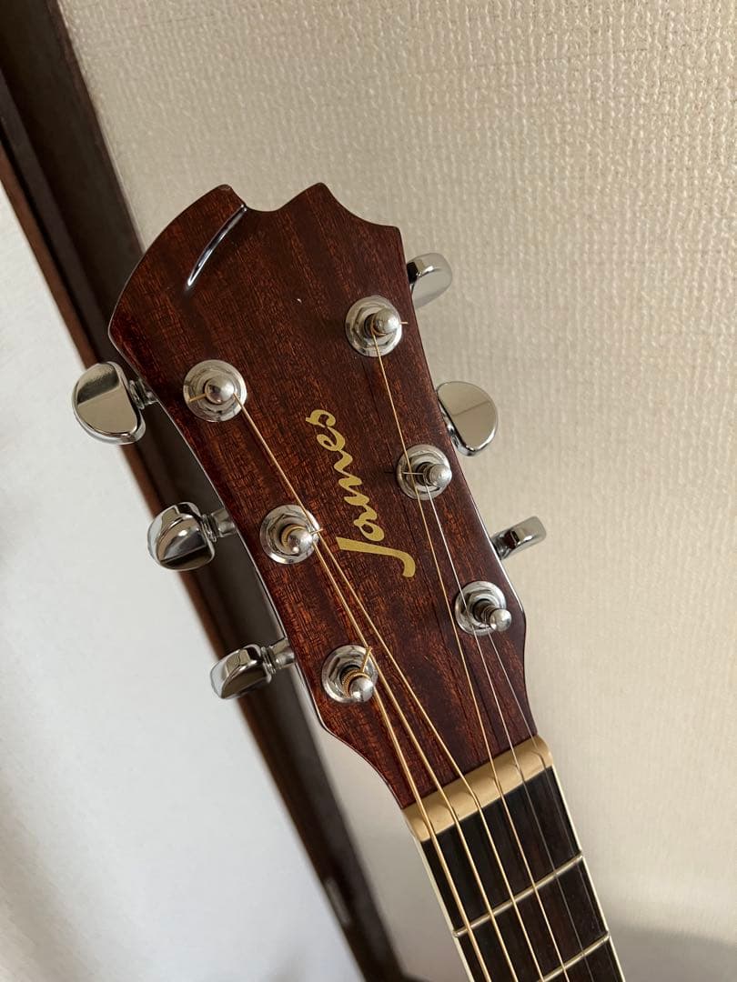 James エレアコ　je450 ソフトケース付き