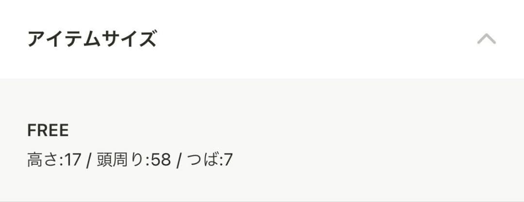【新品・未開封】BASICKS × NEW ERA 9FORTY ブラック 黒