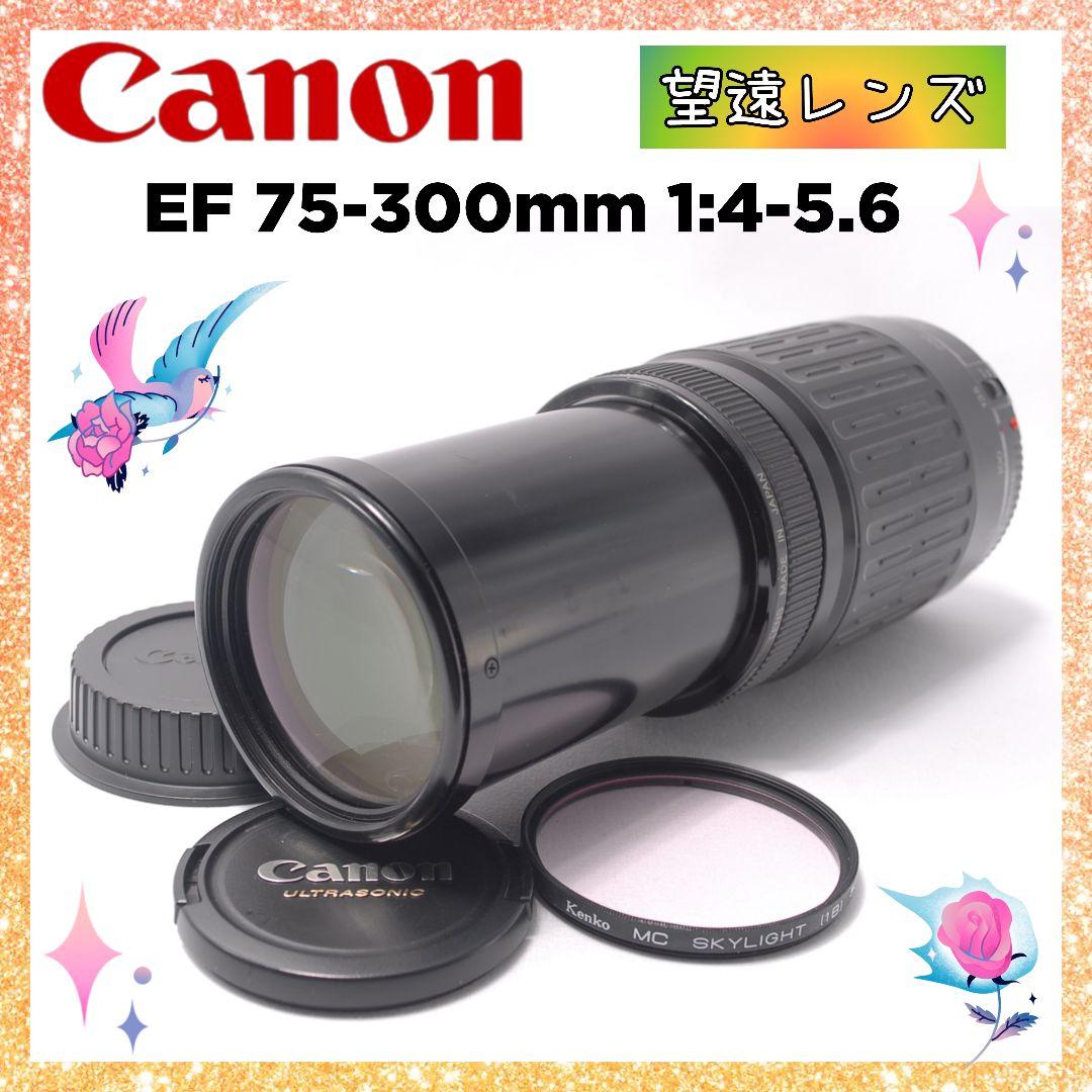 即購入1000円OFF キャノン Canon EF 75-300mm 望遠レンズ