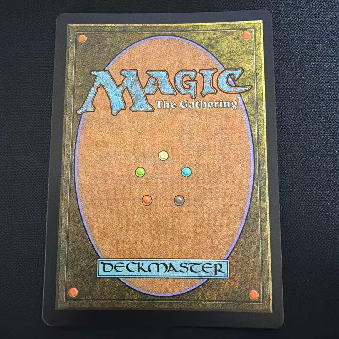 樹木茂る山麓　Wooded Foothills 土地カード　EXP