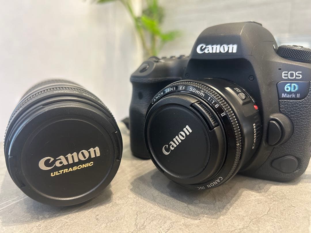 フルサイズ対応EF 75-300mmレンズ、50mm単焦点レンズの2個セット