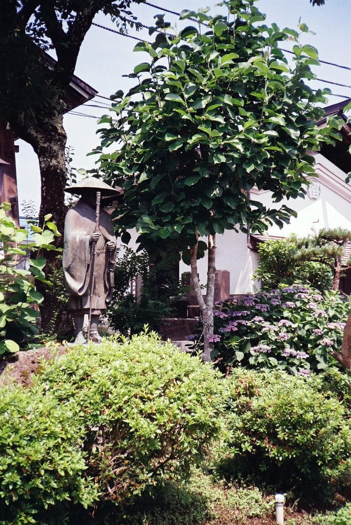 【実写確認整備品】ローライXF35／ゾナー40mmf2.3・Pフィルター付