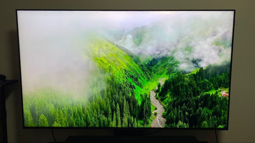 2024年最上位モデル　TCL C855 65インチ