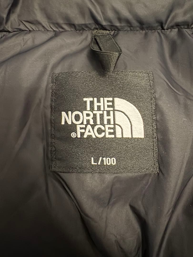 柳*正様 r*n様 【国内未発売品】THE NORTH FACE ブラック エコ