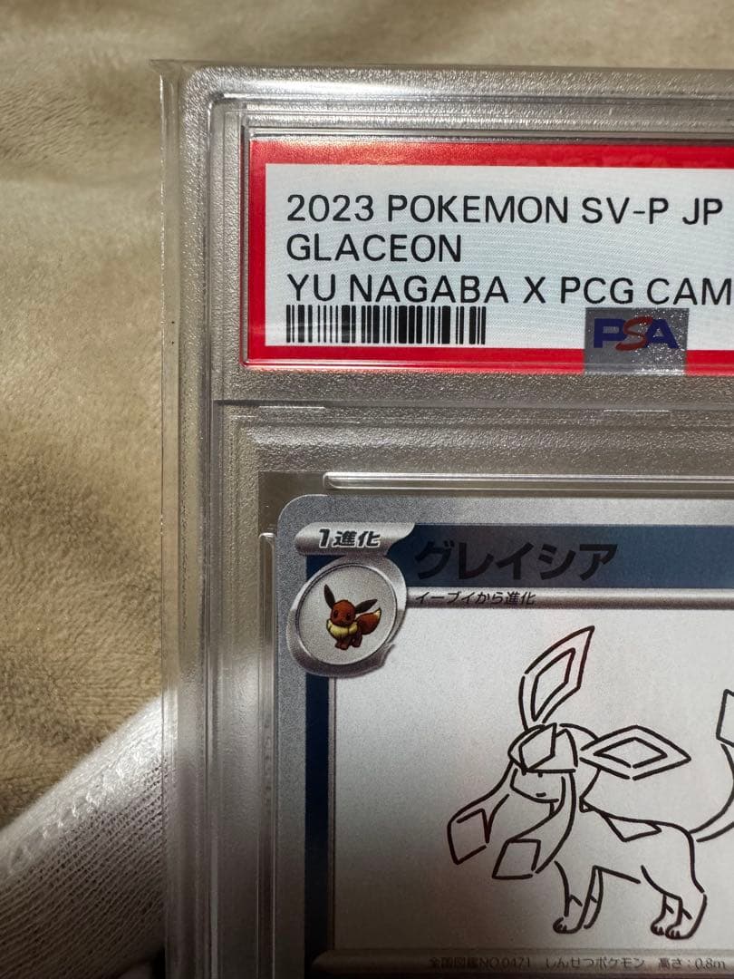 2023年 グレイシア YU NAGABA X PCG CAMPAIGN