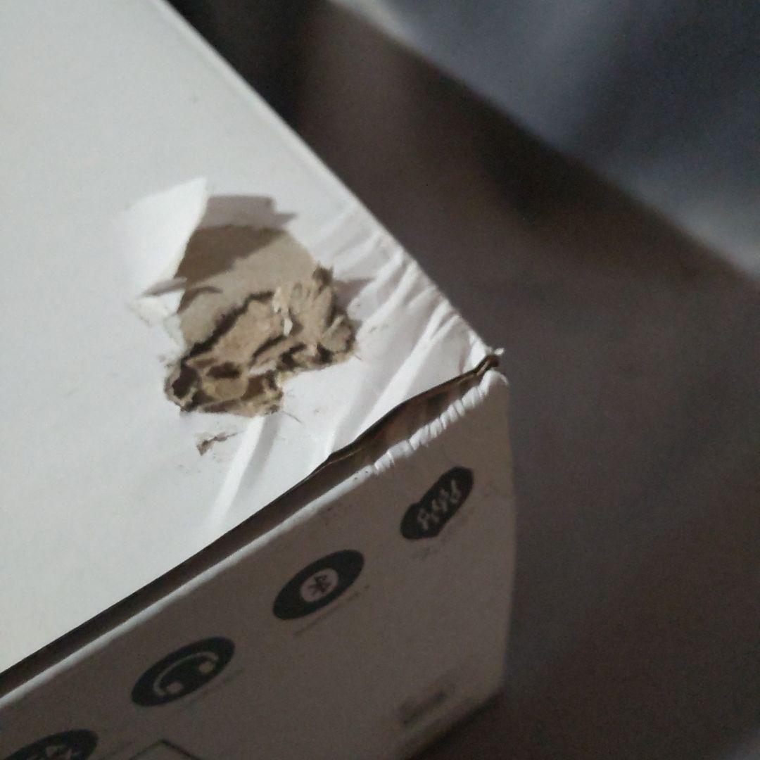 《新品》EDIFIER MR3 スタジオモニタースピーカー　ホワイト