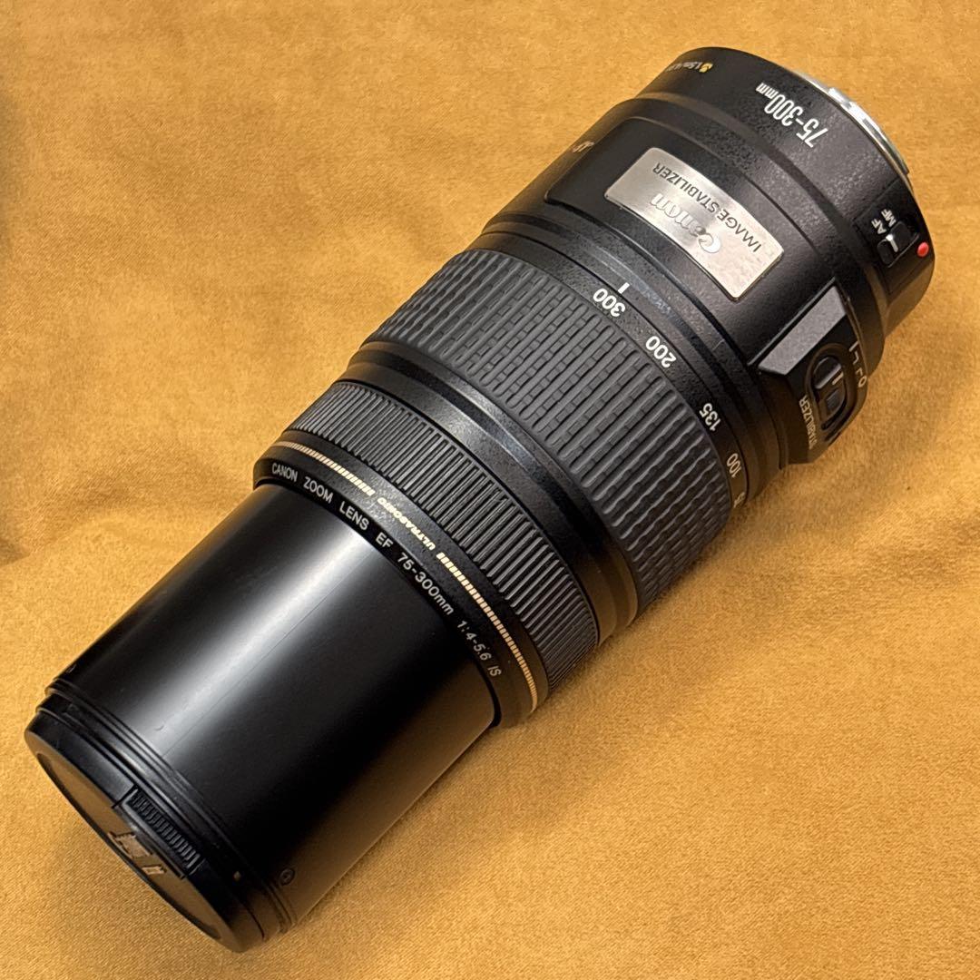 Canon EF 75-300mm IS USM 手振れ補正付き 望遠レンズ