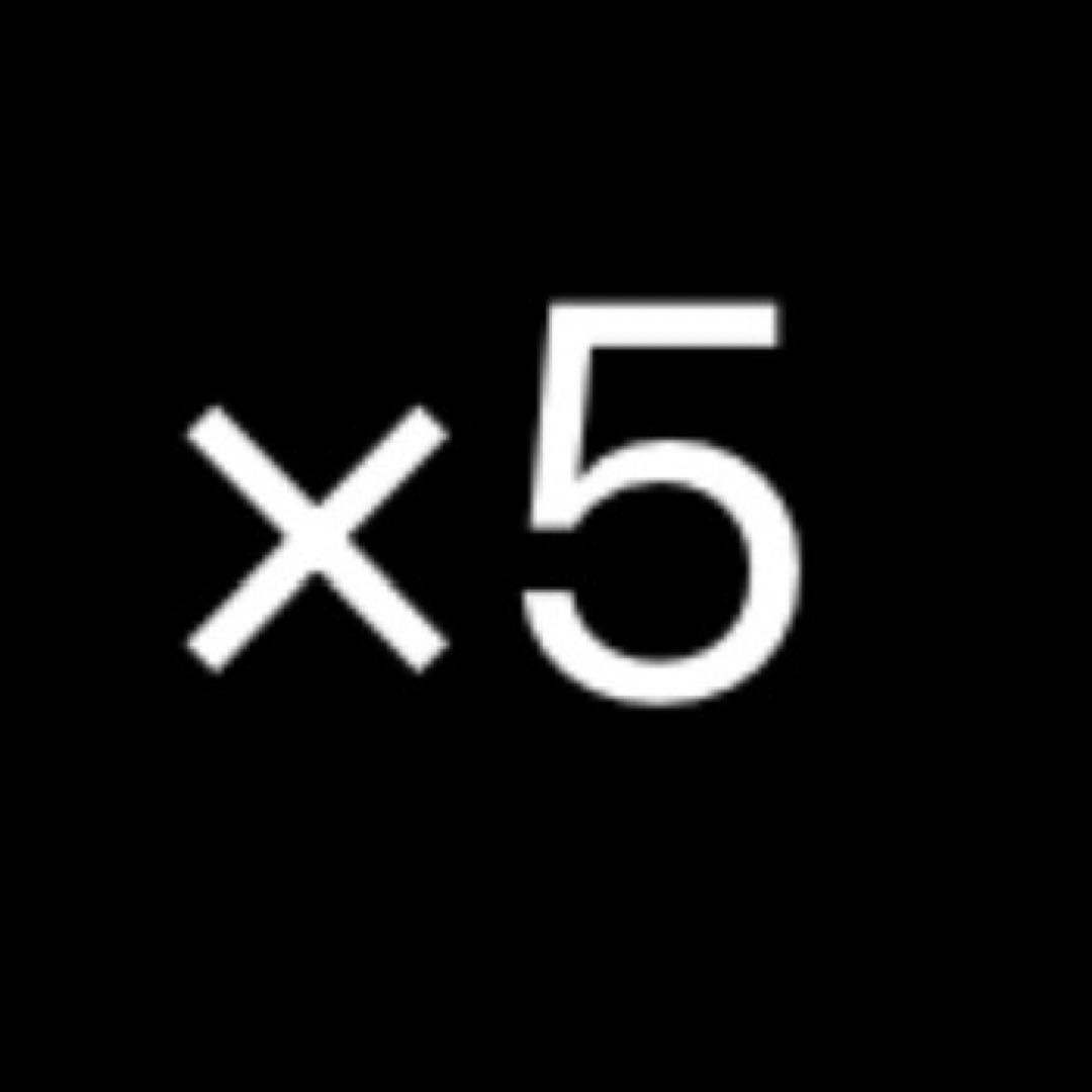 シルバー×5 ひさ様