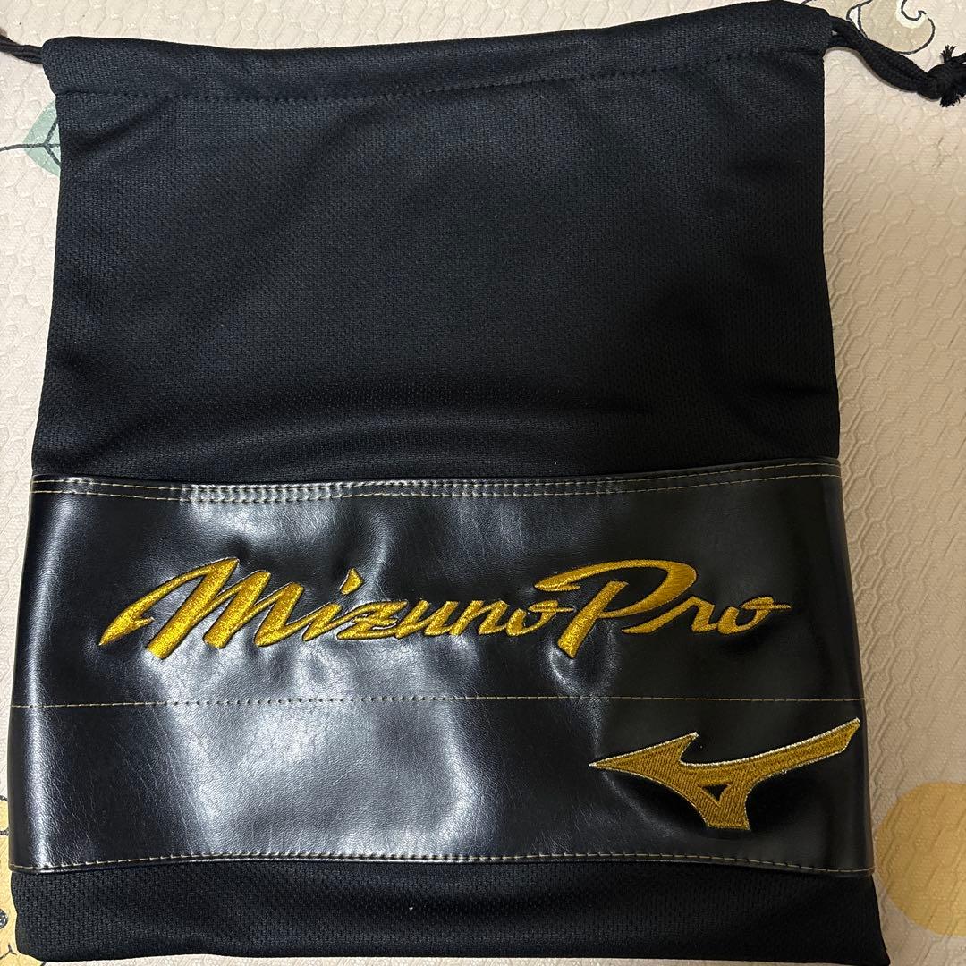 ミズノプロ　クラシック　硬式グローブ