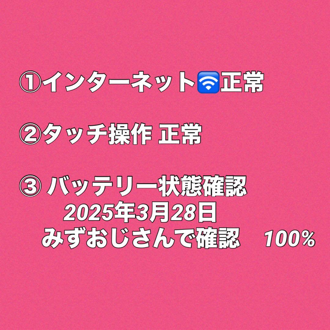 【ジャンク】Apple iPad mini (第5世代) 256GB