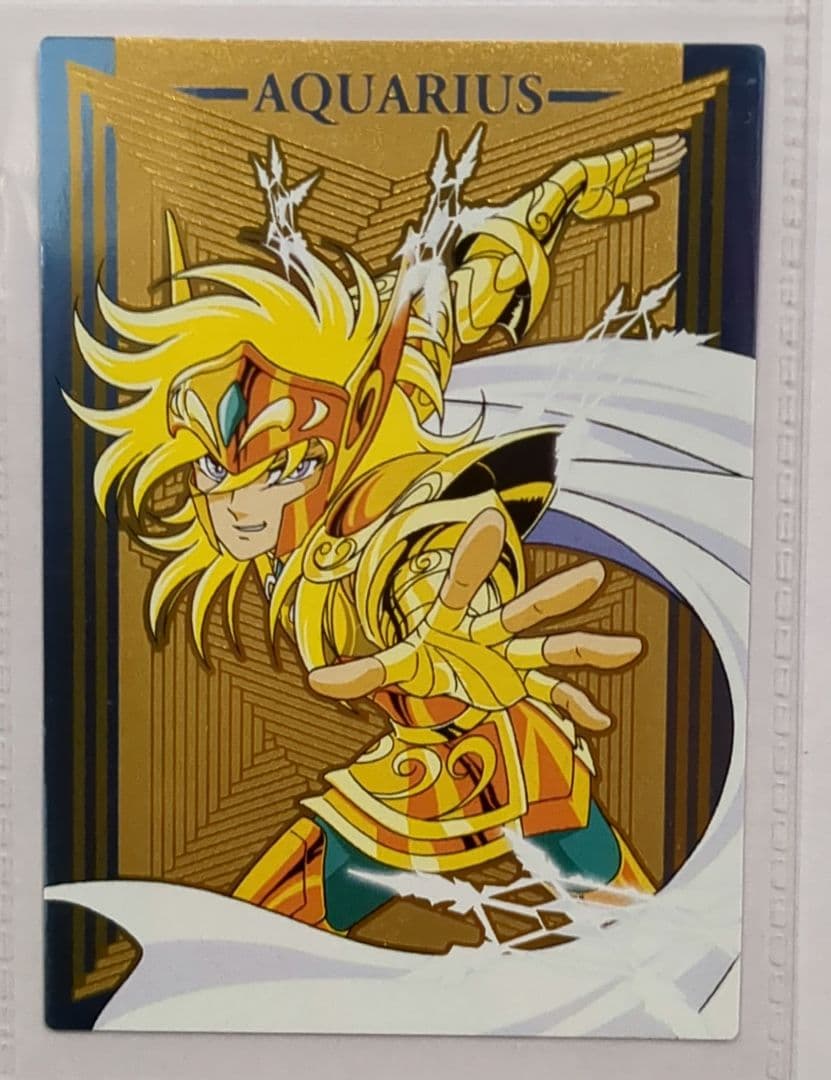 聖闘士星矢 水瓶座 アクエリアス氷河 シャカ トレーディングコレクションカード