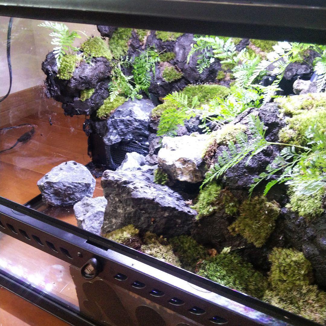 【受注生産】滝のあるアクアテラリウム　グラステラリウム 4530イモリウム