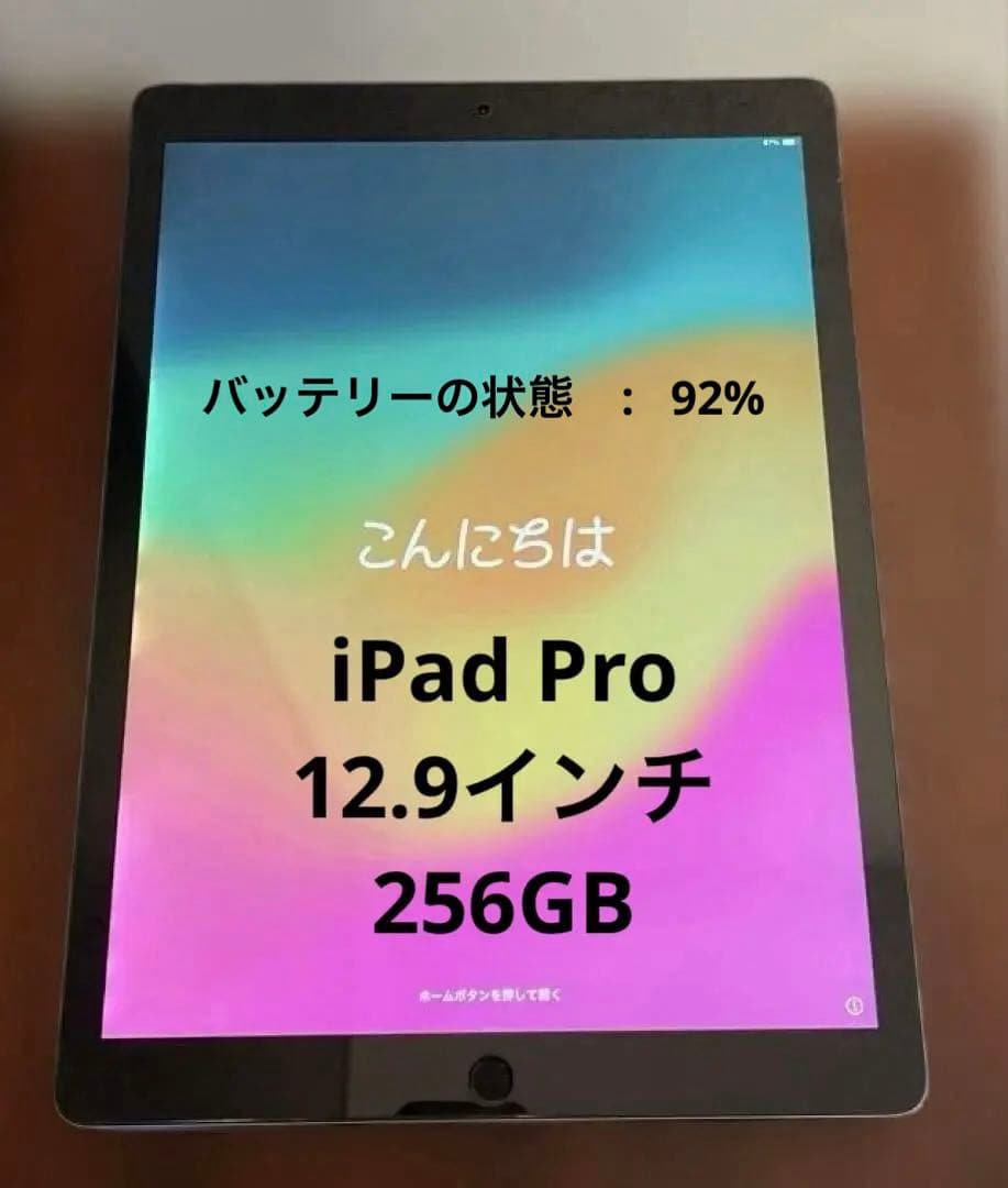 バッテリー状態92% iPad Pro 265GB MP6G2J/+新品ケース付