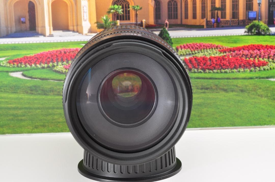 望遠レンズ キヤノン Canon 迫力の75-300mm レンズフード付き！