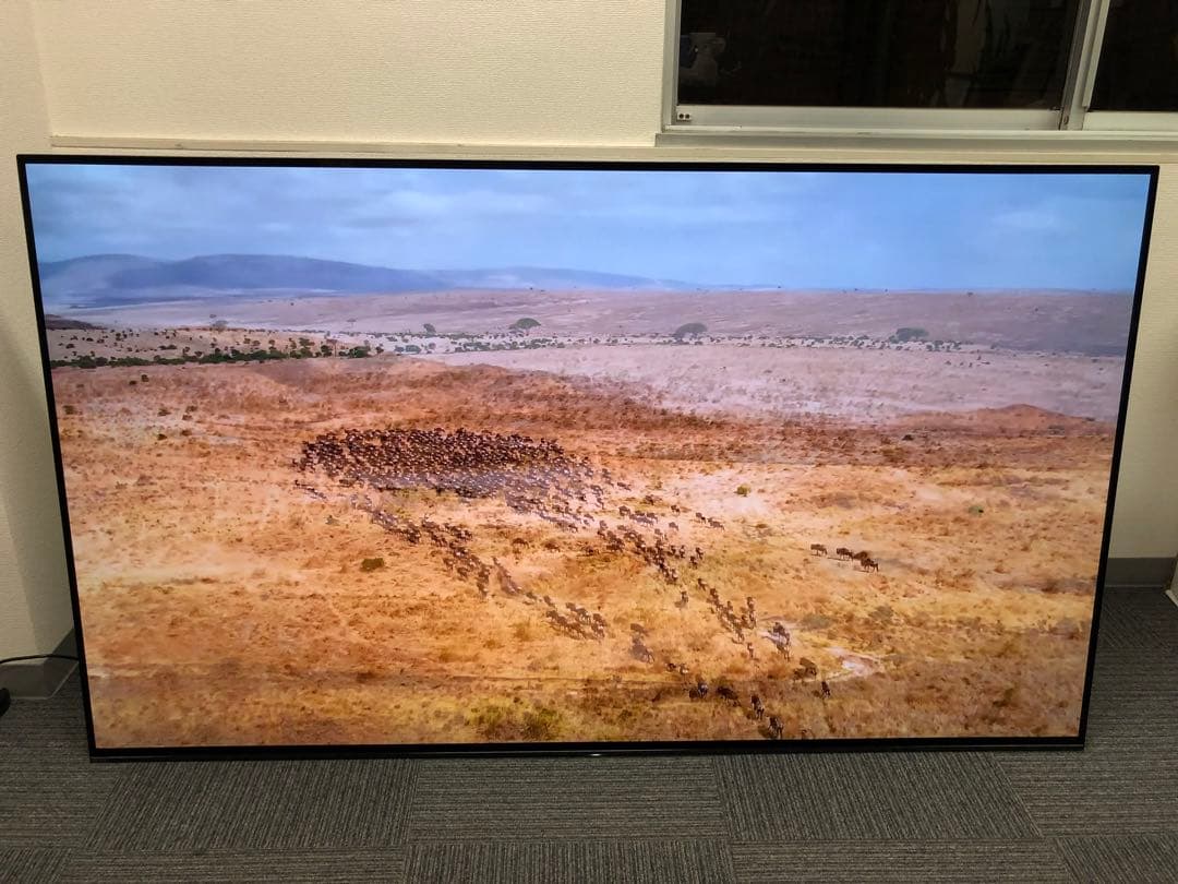 【超美品】SONY BRAVIA 77型4K 有機ELテレビ　2018年製