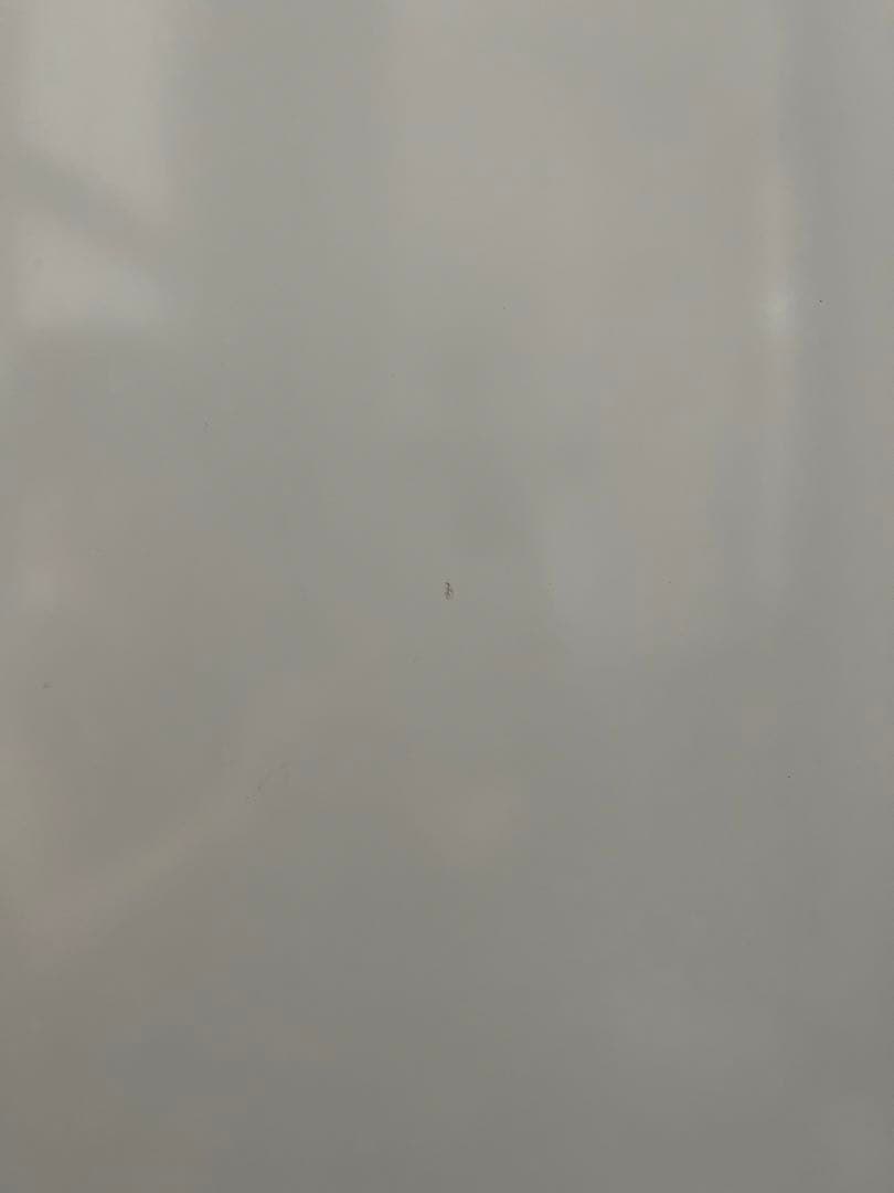 【ジャンク品】日立HITACHI 全自動洗濯機　BW-V90C 9kg