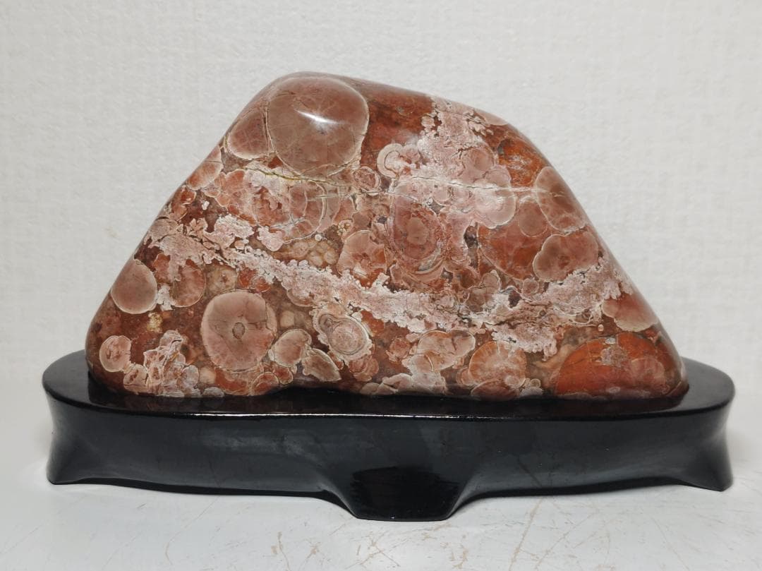 梅花石 1.6kg 鑑賞石 原石 菊花石 紋石 花紋石 自然石 水石 置石