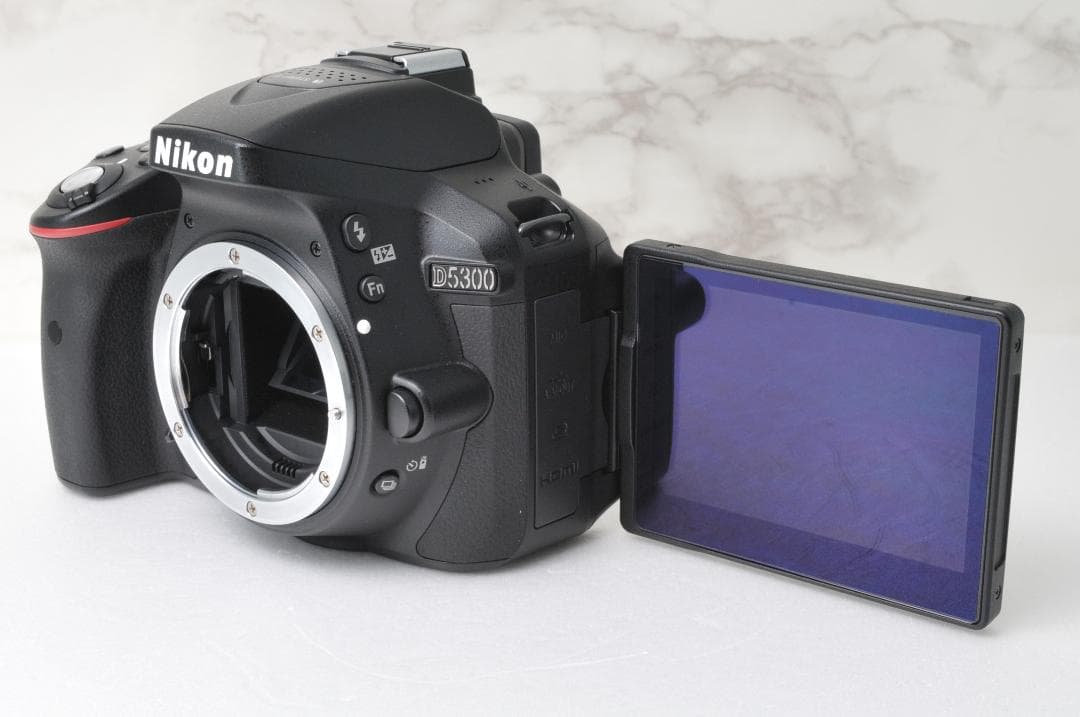 ショット数新品級❣️美品 Nikon D5300⭐️Wi-Fi スマホ転送 一眼レフ