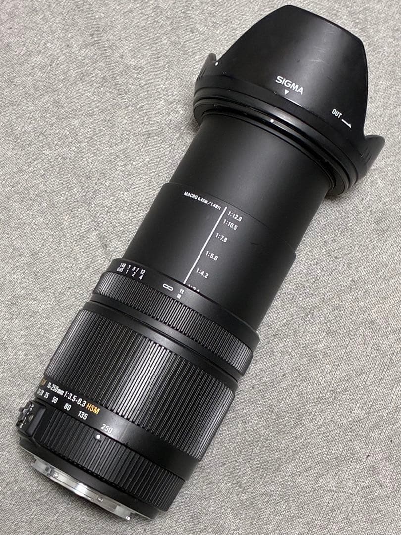 ⭐️美品⭐️SIGMA 18-250mm 3.5-6.3 DC OS HSM ソニー