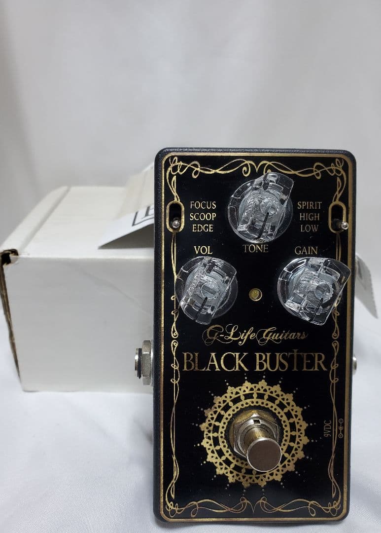 ギター G-Life Guitars Black Buster