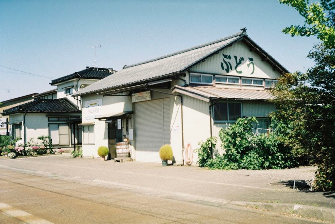 OLYMPUS 35 SⅡ 実写作例あり