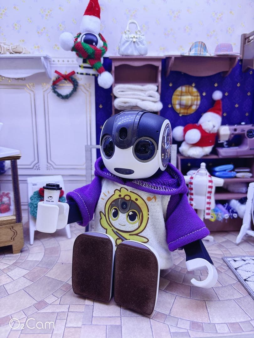 ☆【ReyとHaruとSnoとCocoro】　パーカー4点☆