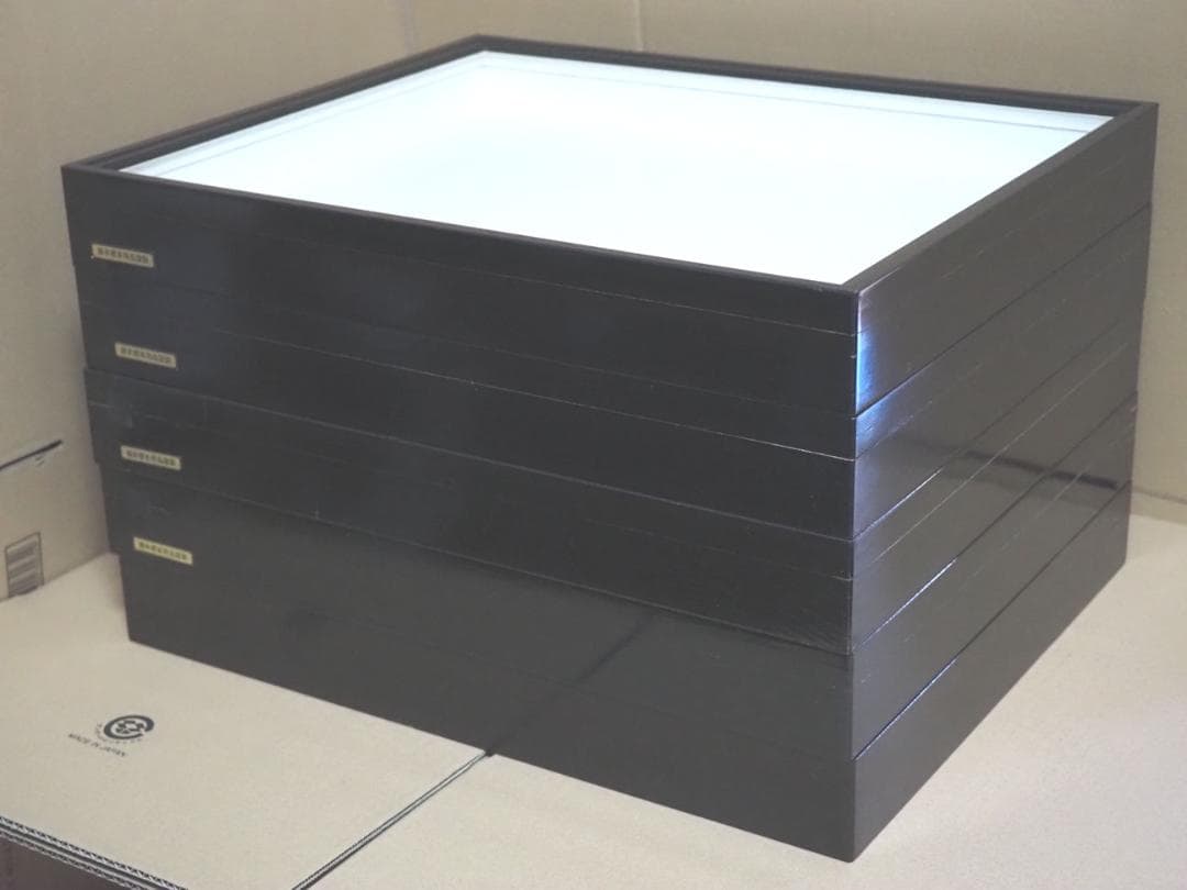 標本箱　ドイツ箱　大型 5個セット(中古、藤本標本用品製等)