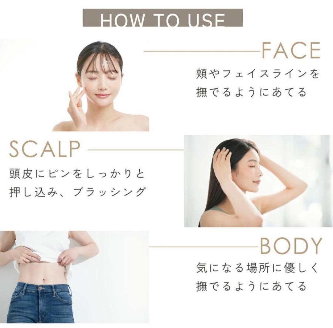 定価2.7万 極美品 サロニア SAL22206SL EMSリフトブラシ 美顔器