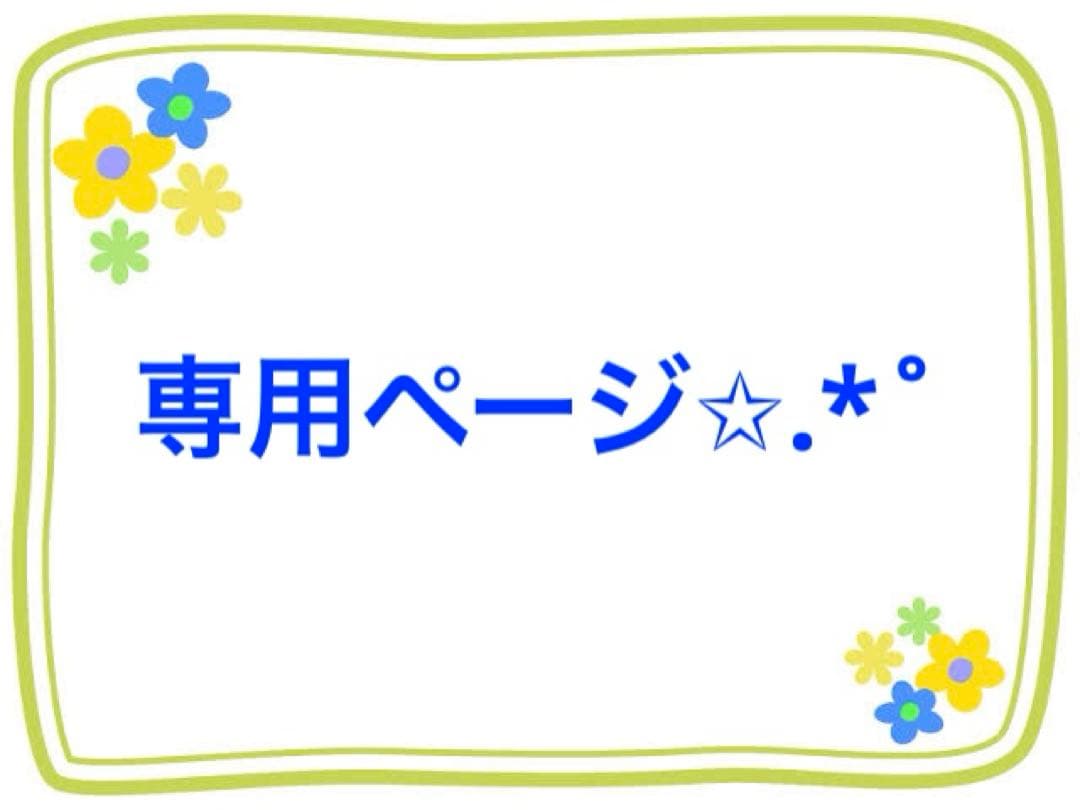 専用ページ✩.*˚