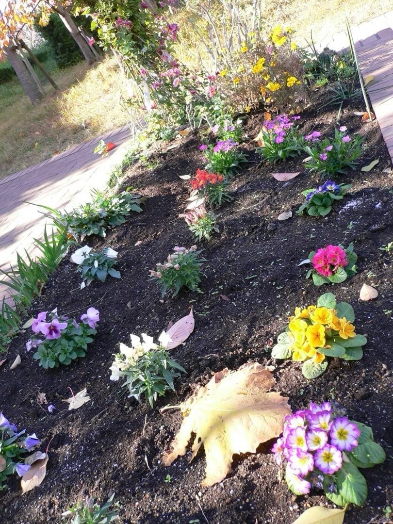 実写美⭕️良品【動作確認済】パナソニック LUMIX DMC-FX7 シルバー