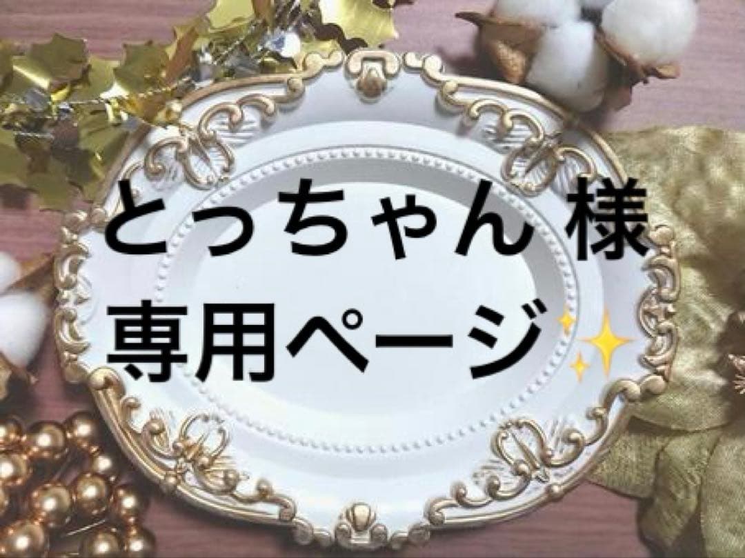 とっちゃん　様✨専用ページ✨