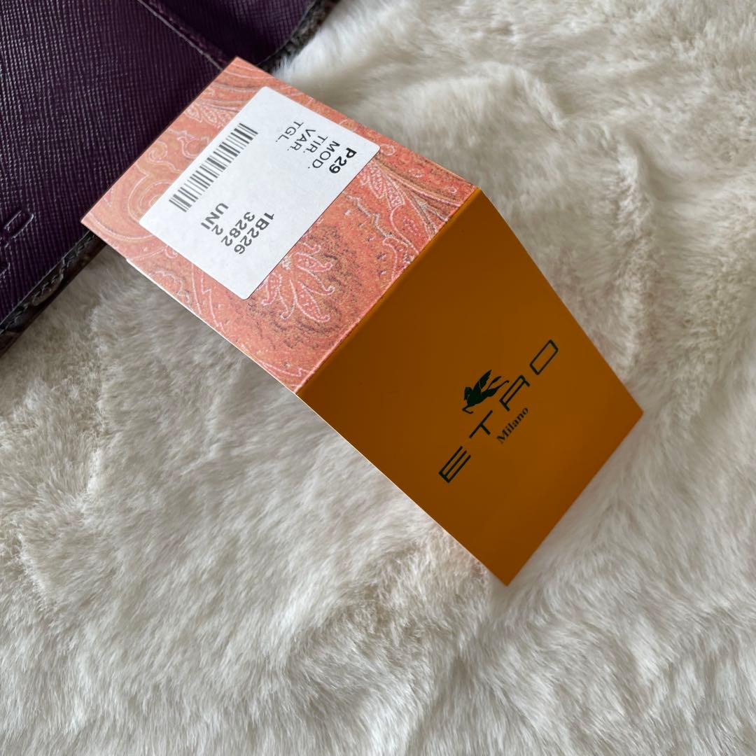 希少 美品✨ETRO エトロ カービング エンボス加工 長財布 カードケース 茶