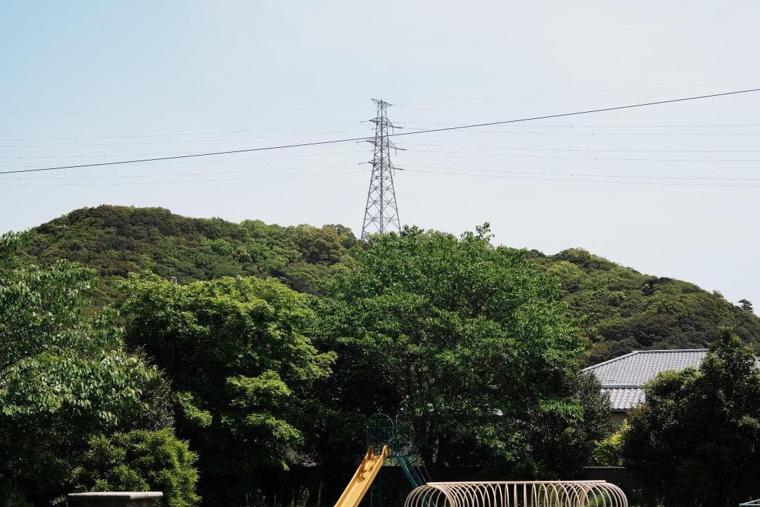 レンズ(単焦点) Carl Zeiss S-Planar 60mm F2.8 AEG 133