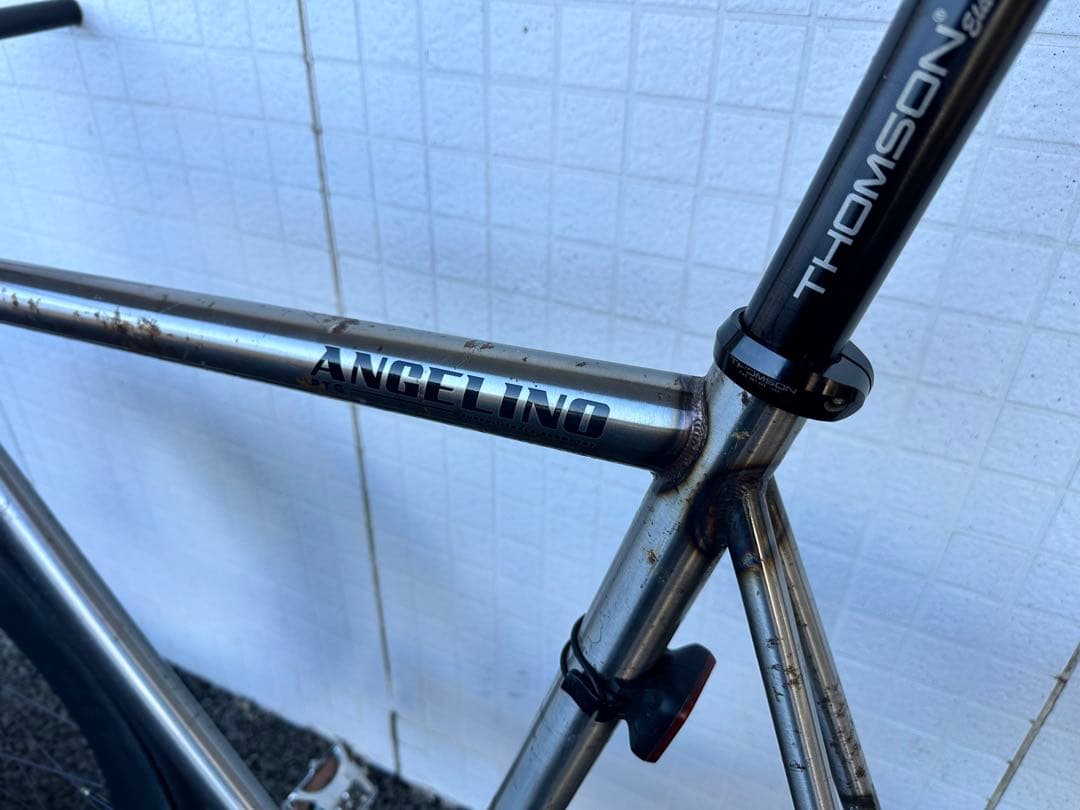 自転車本体 LEADER ANGELINO PTG Size M Trans Raw