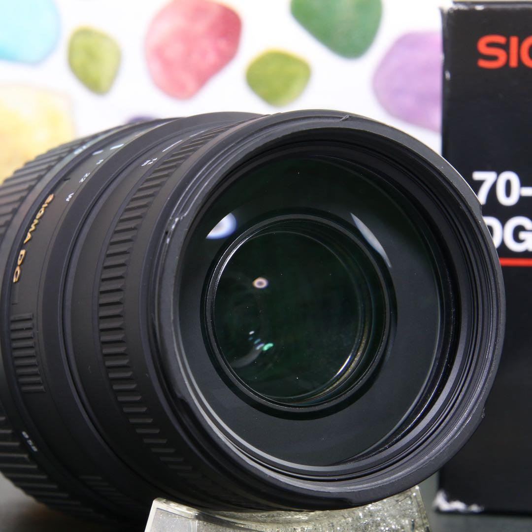♥︎◇美品 ◇SIGMA 70-300mm DG MACRO SONY