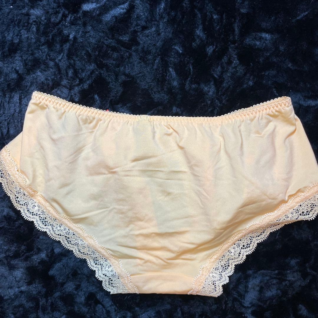 ワコール サルート93 : ブラG70 ソングL (ショーツL変更可) ⭐️新品